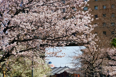 なとみらい_神奈川