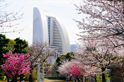 1131_なとみらい_神奈川