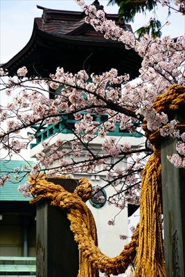 1056_伊勢山皇大神宮_神奈川