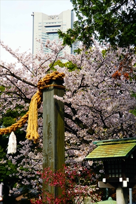 1060_伊勢山皇大神宮_神奈川