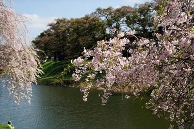 1044_白河市小峰城_福島