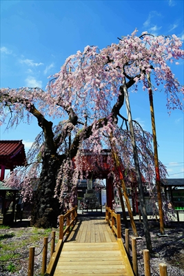 1005_白河市妙関寺_福島