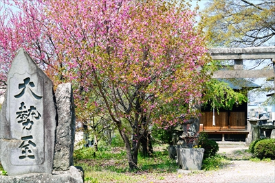 白河市小峰八幡神社_福島