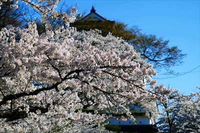 会津鶴ヶ城_福島