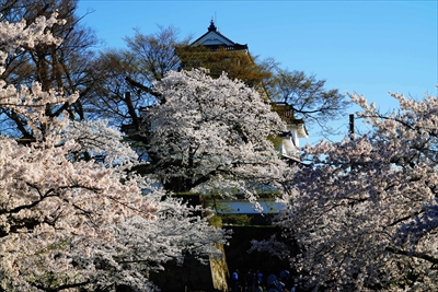 1014_会津鶴ヶ城_福島