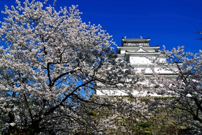 1015_会津鶴ヶ城_福島