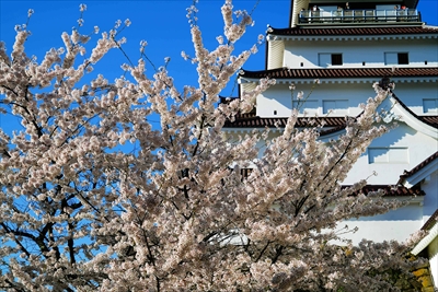 会津鶴ヶ城_福島