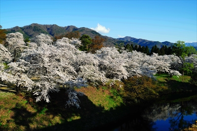 1024_会津鶴ヶ城_福島