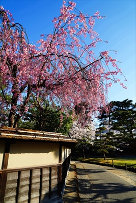 1027_会津鶴ヶ城_福島