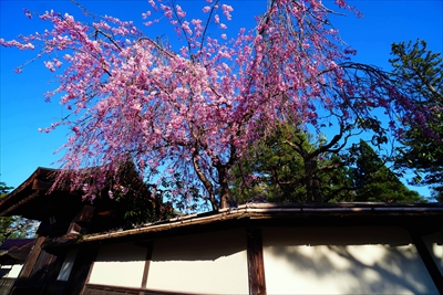 1032_会津鶴ヶ城_福島