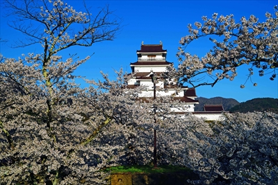 1035_会津鶴ヶ城_福島