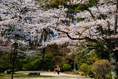 1031_千秋公園_秋田