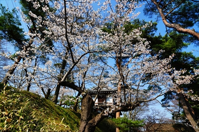 1042_千秋公園_秋田