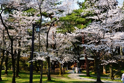 1044_千秋公園_秋田