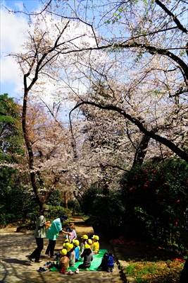 1071_外堀公園_東京