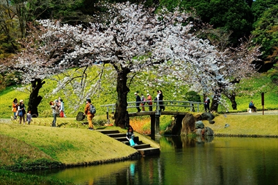 1054_小石川後楽園_東京