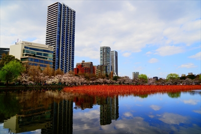 1077_不忍池_東京