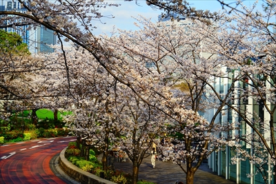 1002_東京ミッドタウン_東京