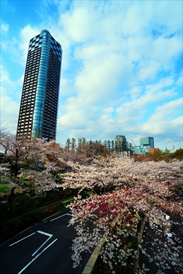 1003_東京ミッドタウン_東京