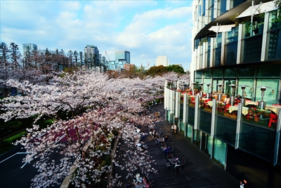 1004_東京ミッドタウン_東京