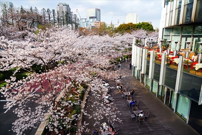 1008_東京ミッドタウン_東京