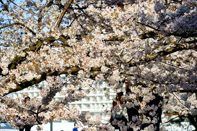 なとみらい_神奈川