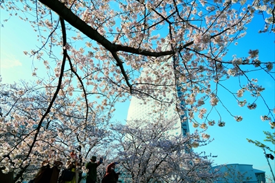 1139_なとみらい_神奈川