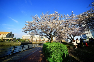 1142_なとみらい_神奈川
