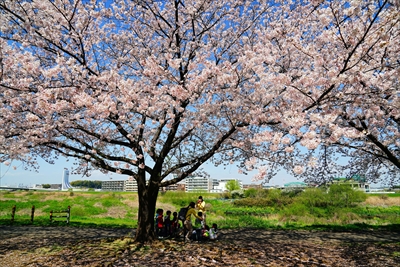 1092_新横浜公園_神奈川