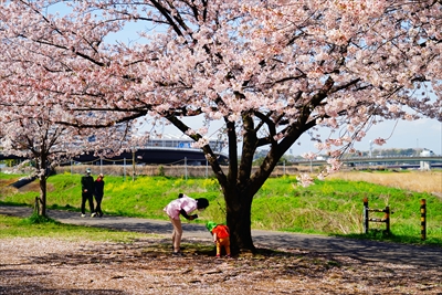 1094_新横浜公園_神奈川