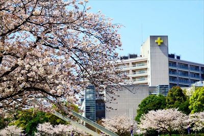 1097_新横浜公園_神奈川