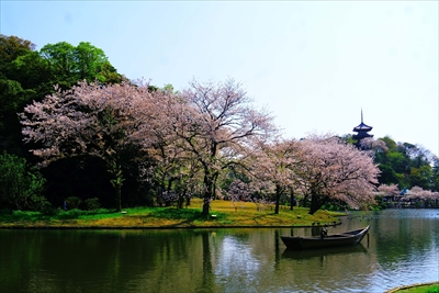 1149_三渓園_神奈川