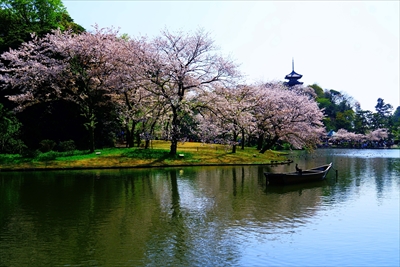 1150_三渓園_神奈川