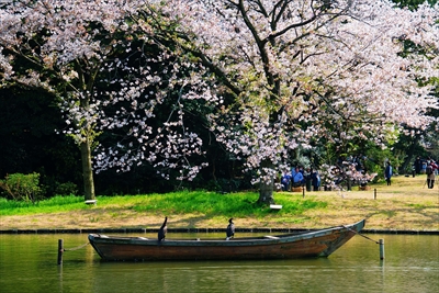 1151_三渓園_神奈川