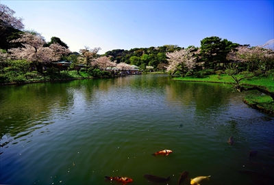 1152_三渓園_神奈川