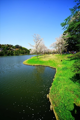 1153_三渓園_神奈川