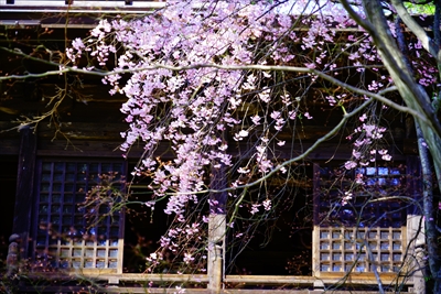 1009_大善寺_山梨