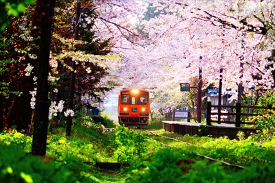 1342_芦野公園_青森