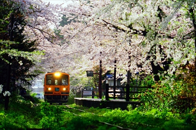 1343_芦野公園_青森