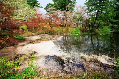 1355_芦野公園_青森