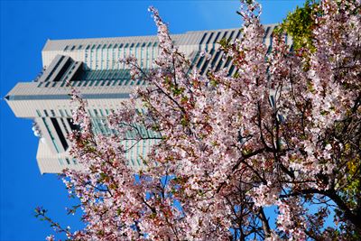 1144_なとみらい_神奈川