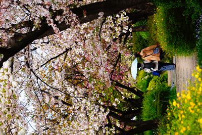 1084_緑道公園_神奈川
