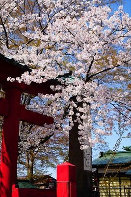 1034_鶴田八幡宮_青森