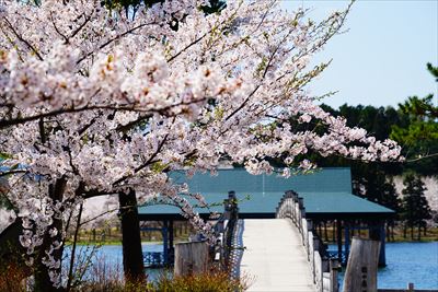 1022_鶴の舞橋_青森