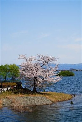 1023_鶴の舞橋_青森