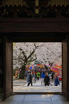 1112_威光山法明寺_東京
