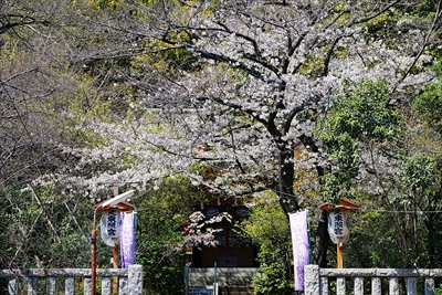 1072_芝東照宮_東京