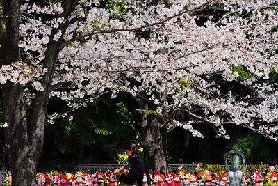 1074_西向観世音菩薩堂_東京