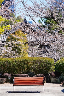1059_増上寺_東京