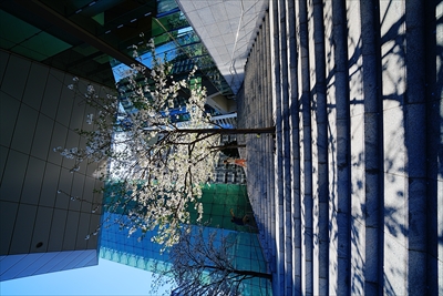 1080_虎ノ門ヒルズ_東京